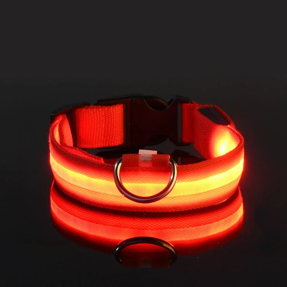 Dog Collar LED Night Safety 