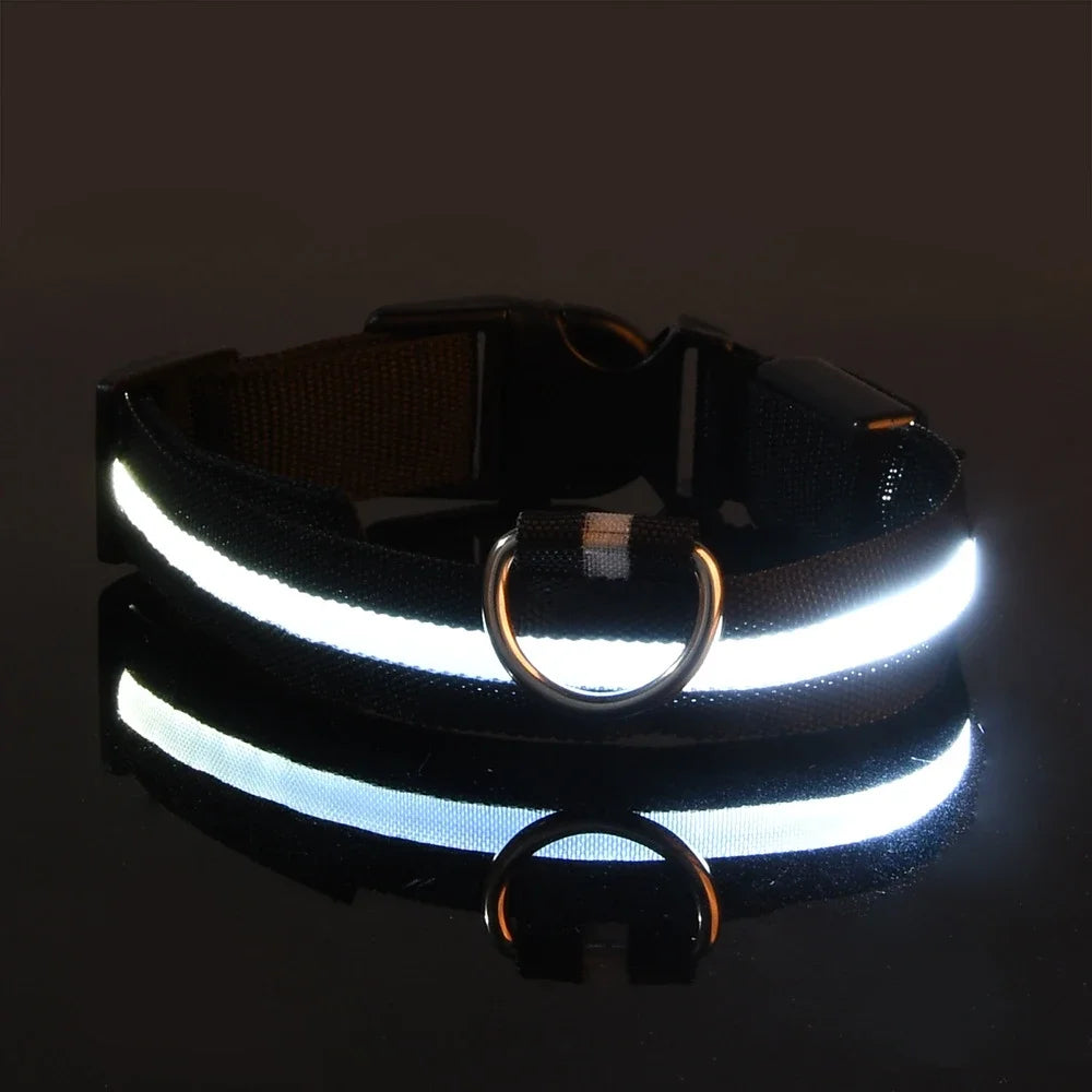 Dog Collar LED Night Safety 