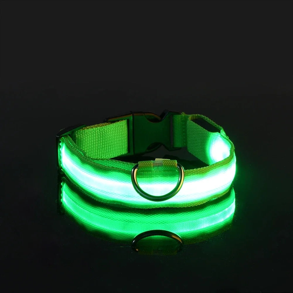 Dog Collar LED Night Safety 