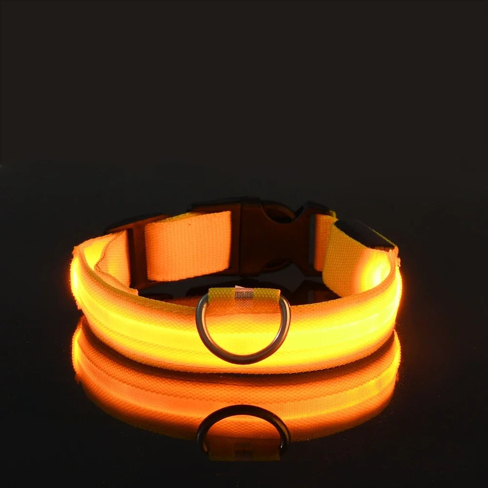 Dog Collar LED Night Safety 