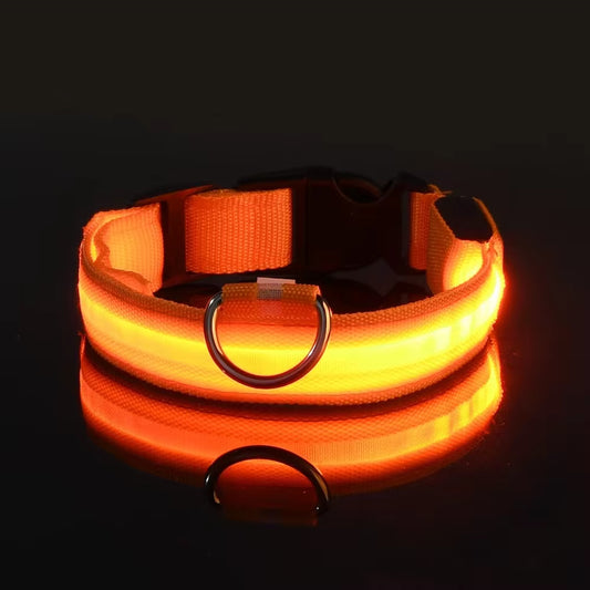 Dog Collar LED Night Safety 